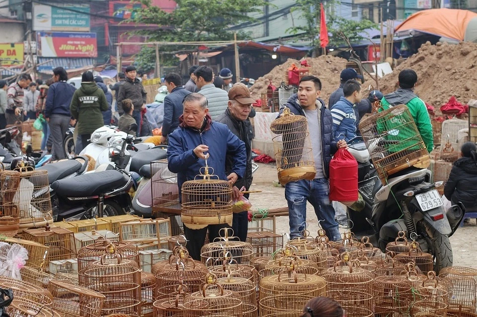 Chợ chim cảnh Hoàng Hoa Thám