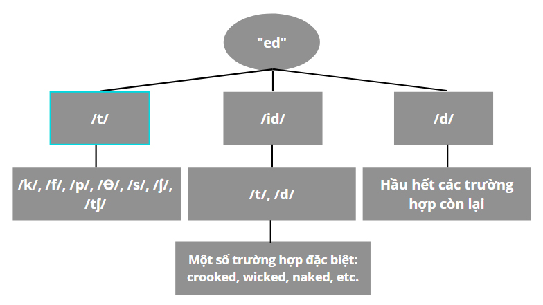 Cách phát âm đuôi ed & Những quy tắc dễ nhớ kèm Audio minh hoạ