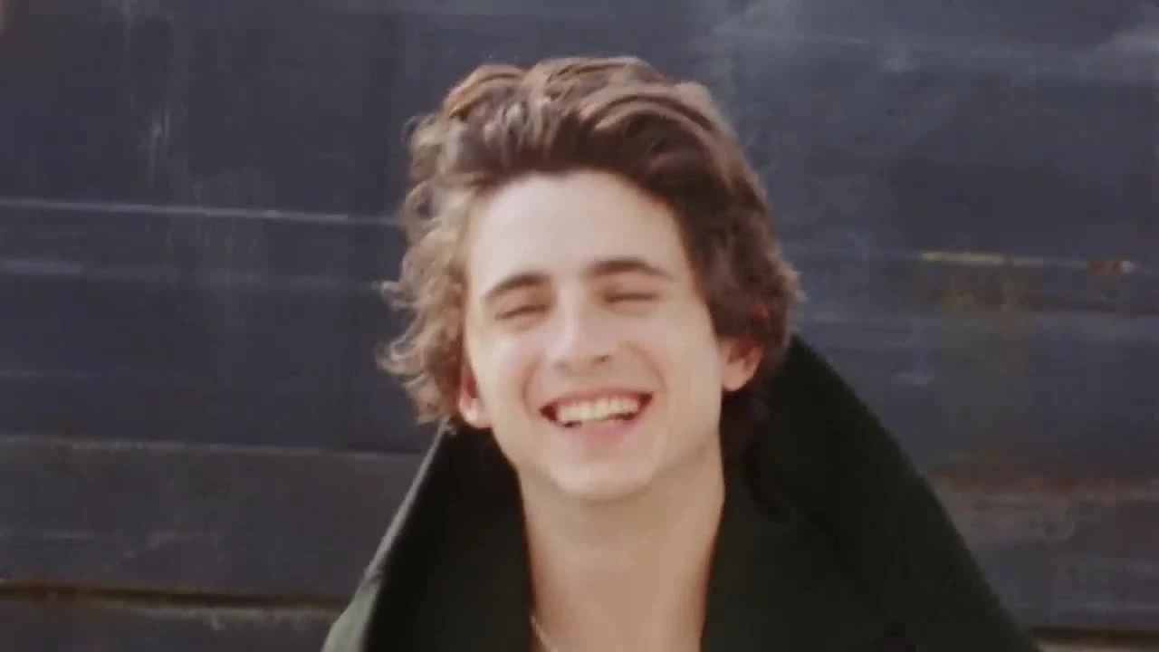 Timothée Chalamet đẹp trai nhất thế giới: Vẻ đẹp "chàng thơ" lên ngôi