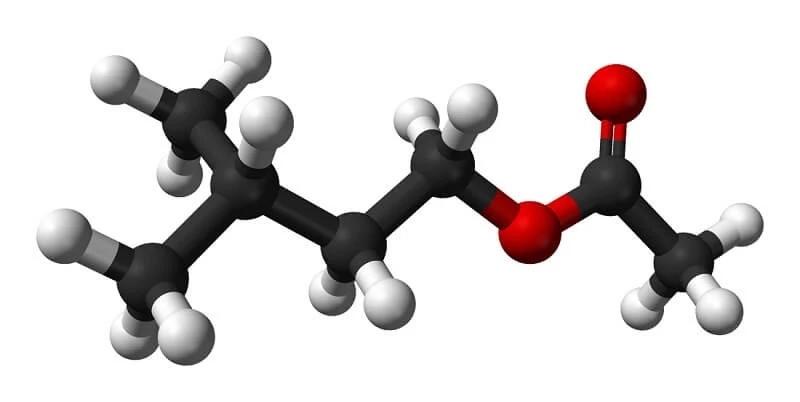 Isoamyl Axetat là gì? Tính chất và ứng dụng của Isoamyl Axetat