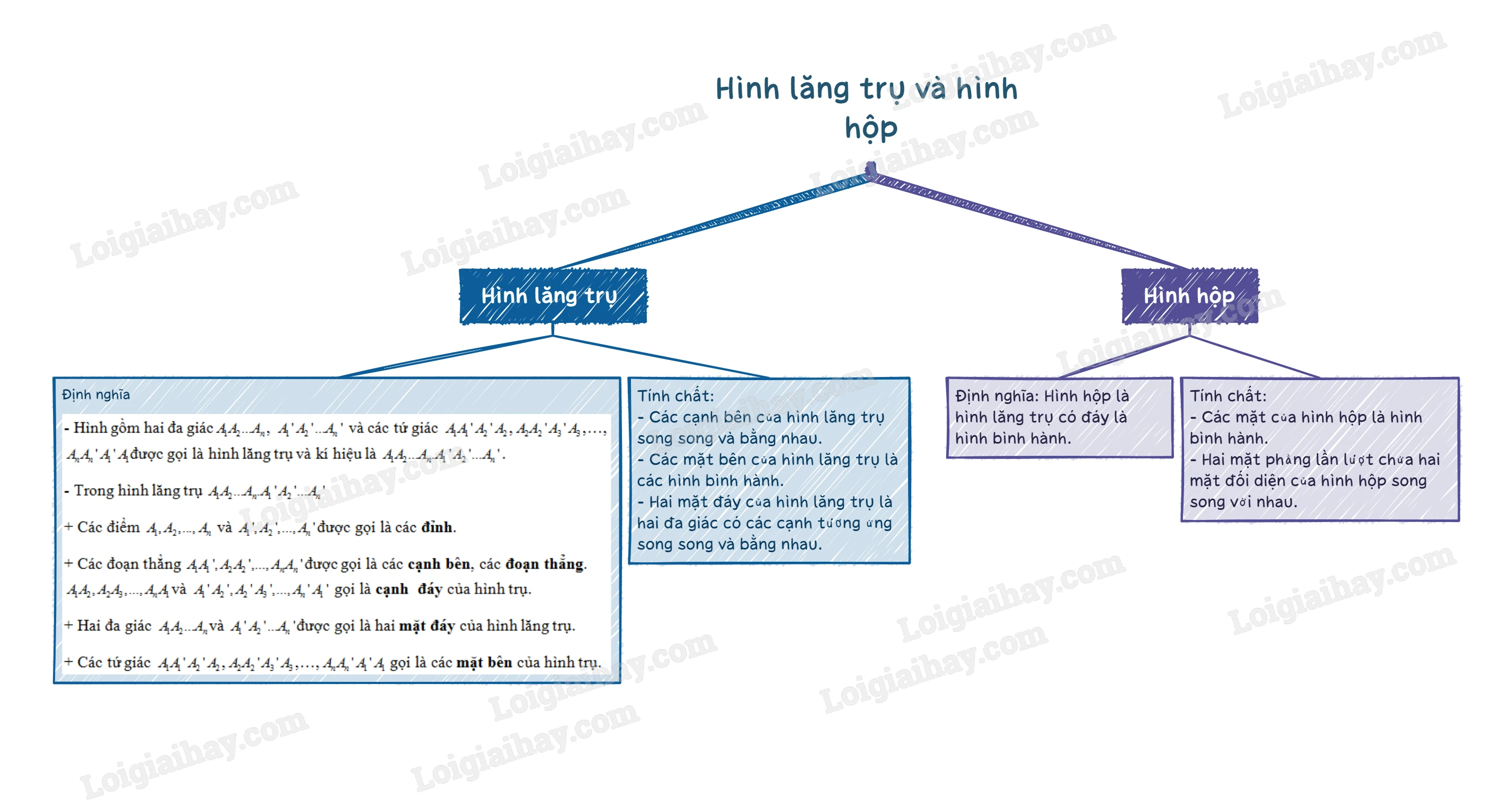 Lý thuyết Hình lăng trụ và hình hộp - SGK Toán 11 Cánh Diều</>