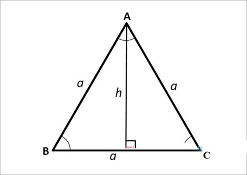 Tổng hợp công thức tính diện tích tam giác đầy đủ nhất 2023