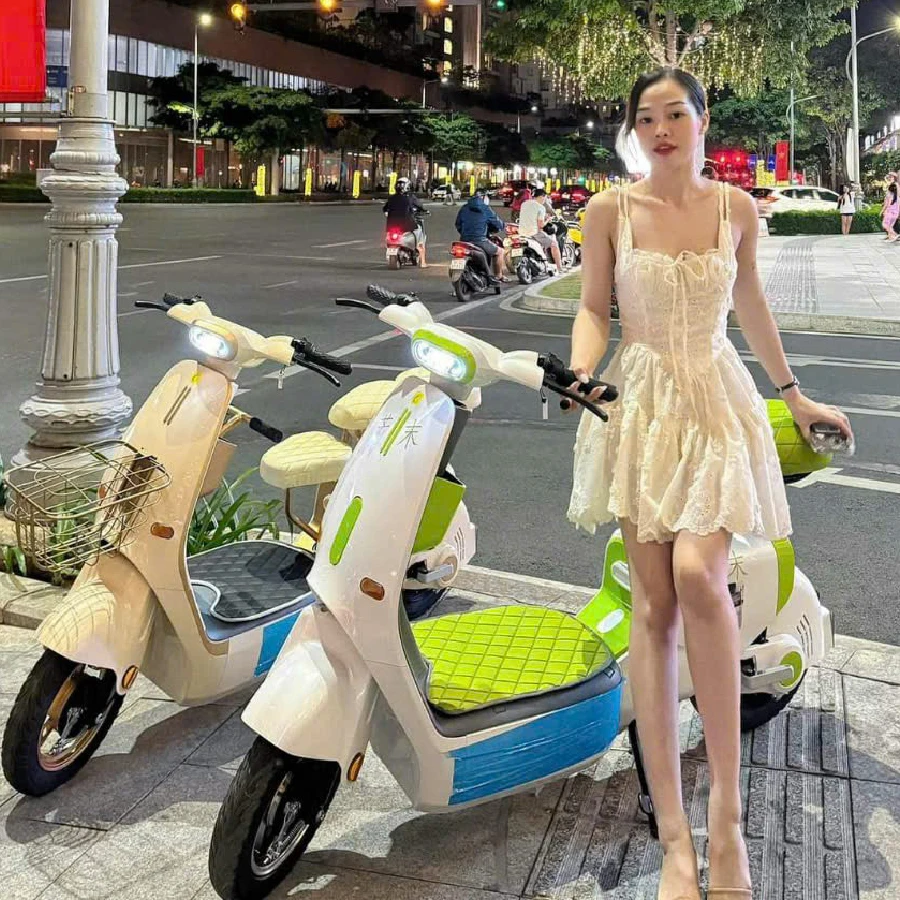 Xe Đạp Điện Dylexe VC K1 (Quyến rũ - Tinh tế - Nhẹ nhàng)