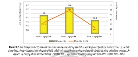 Khám Phá Sự Sinh Trưởng Trong Sinh Học 11 Chân Trời Sáng Tạo